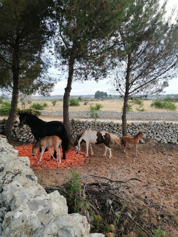 "Casa Vacanze Antica Cascina" Testa dellʼAcqua Eksteriør billede