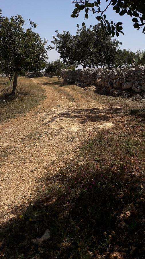 "Casa Vacanze Antica Cascina" Testa dellʼAcqua Eksteriør billede